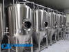 Fermentador de acero inoxidable de 10 bbl.