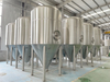 Fermentador de acero inoxidable 40BBL