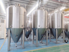 Fermentador de acero inoxidable 30BBL