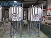 Fermentador de acero inoxidable 10HL